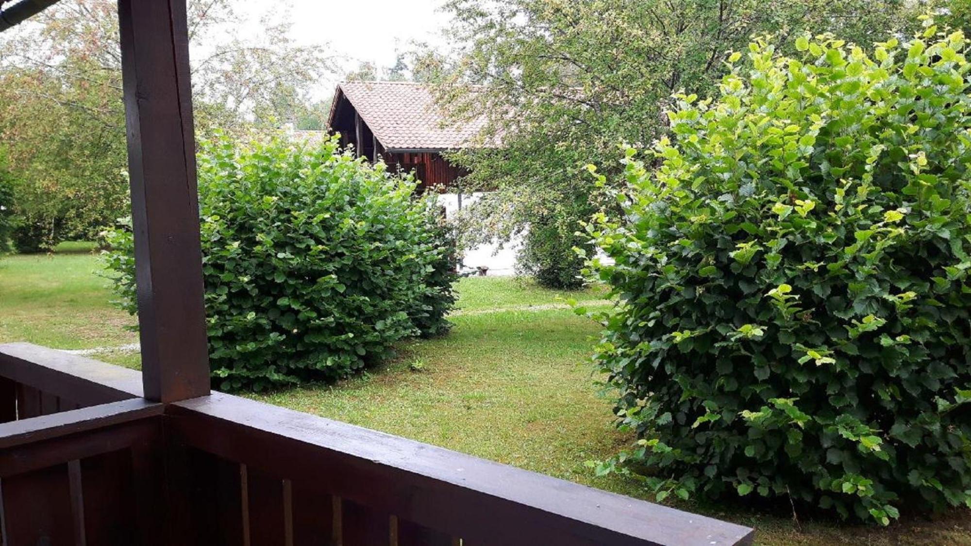 Ferienhaus Virzi - Waldferiendorf ريغين المظهر الخارجي الصورة