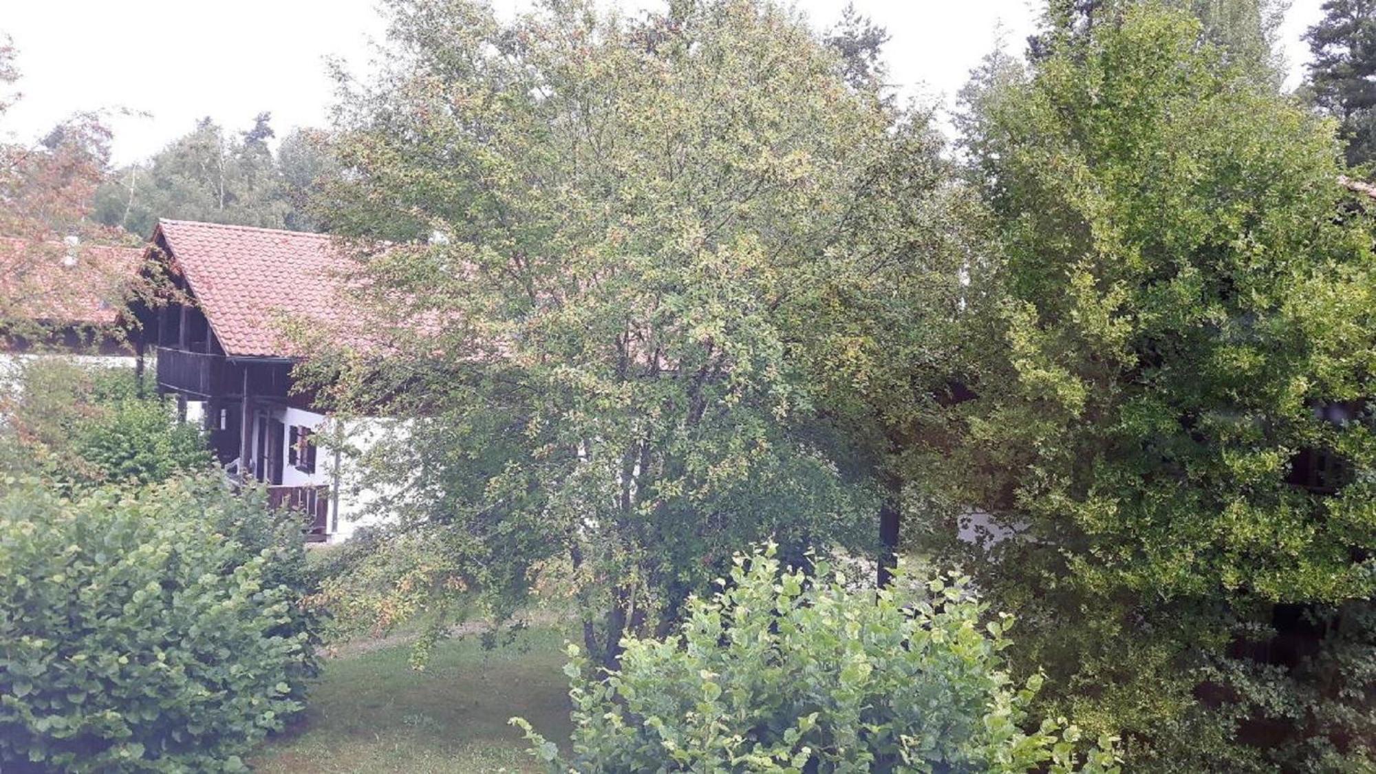 Ferienhaus Virzi - Waldferiendorf ريغين المظهر الخارجي الصورة